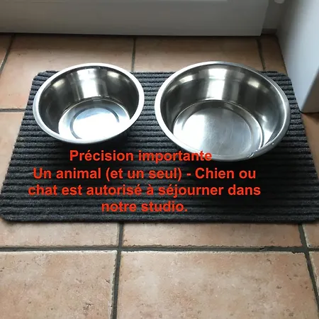 Escapade Iodee A La Naturelle Vue Mer- Wifi- Cote D'opale Wimereux